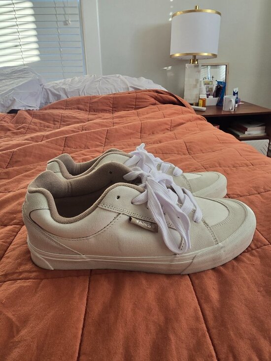 Vans Low Top Skate Shoes in White - Picture 1 of 5